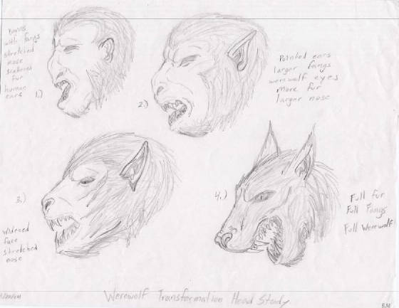 werewolf_transformation_.jpg