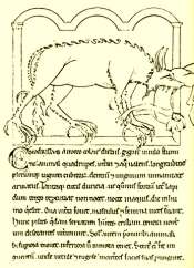 el_hombre_lobo2.jpg